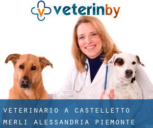 veterinario a Castelletto Merli (Alessandria, Piemonte)