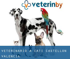 veterinario a Catí (Castellon, Valencia)