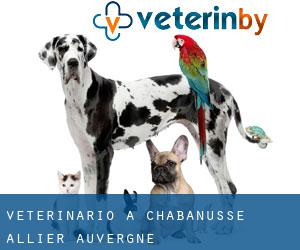 veterinario a Chabanusse (Allier, Auvergne)