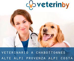 veterinario a Chabottonnes (Alte Alpi, Provenza-Alpi-Costa Azzurra)