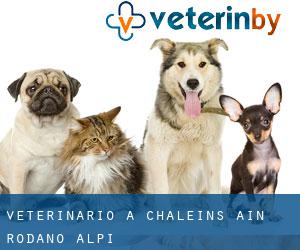 veterinario a Chaleins (Ain, Rodano-Alpi)