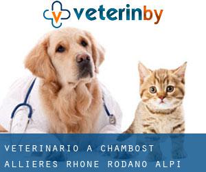 veterinario a Chambost-Allières (Rhône, Rodano-Alpi)
