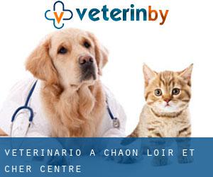 veterinario a Chaon (Loir-et-Cher, Centre)
