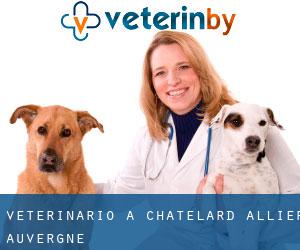 veterinario a Châtelard (Allier, Auvergne)