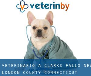 veterinario a Clarks Falls (New London County, Connecticut)