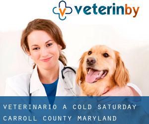 veterinario a Cold Saturday (Carroll County, Maryland)