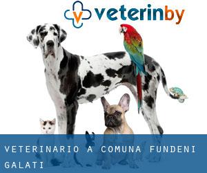 veterinario a Comuna Fundeni (Galaţi)