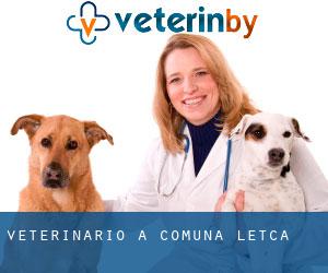 veterinario a Comuna Letca