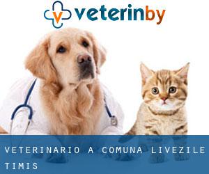 veterinario a Comuna Livezile (Timiş)
