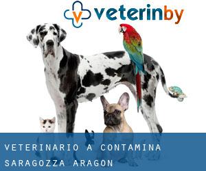 veterinario a Contamina (Saragozza, Aragon)