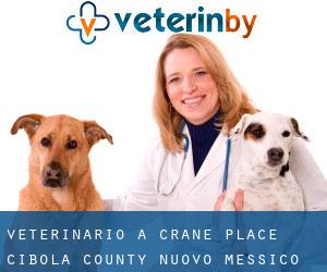 veterinario a Crane Place (Cibola County, Nuovo Messico)