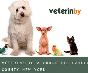 veterinario a Crocketts (Cayuga County, New York)