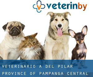 veterinario a Del Pilar (Province of Pampanga, Central Luzon)