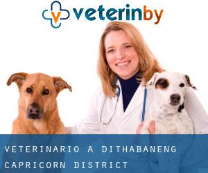 veterinario a Dithabaneng (Capricorn District Municipality, Limpopo)