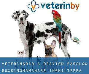 veterinario a Drayton Parslow (Buckinghamshire, Inghilterra)
