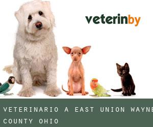 veterinario a East Union (Wayne County, Ohio)