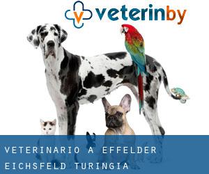veterinario a Effelder (Eichsfeld, Turingia)