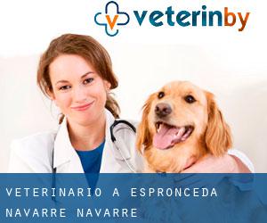 veterinario a Espronceda (Navarre, Navarre)