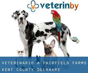 veterinario a Fairfield Farms (Kent County, Delaware)