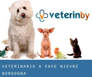 veterinario a Faye (Nièvre, Borgogna)