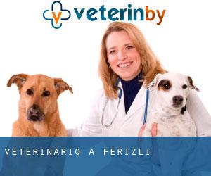 veterinario a Ferizli