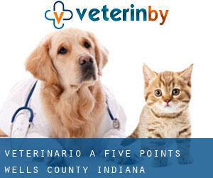 veterinario a Five Points (Wells County, Indiana)
