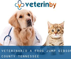 veterinario a Frog Jump (Gibson County, Tennessee)