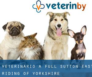 veterinario a Full Sutton (East Riding of Yorkshire, Inghilterra)