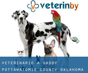 veterinario a Gaddy (Pottawatomie County, Oklahoma)