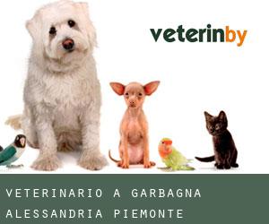 veterinario a Garbagna (Alessandria, Piemonte)