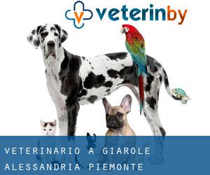 veterinario a Giarole (Alessandria, Piemonte)