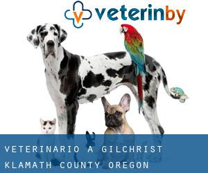 veterinario a Gilchrist (Klamath County, Oregon)