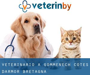 veterinario a Gommenec'h (Côtes-d'Armor, Bretagna)