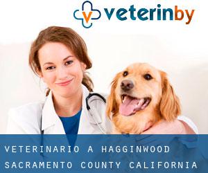 veterinario a Hagginwood (Sacramento County, California)