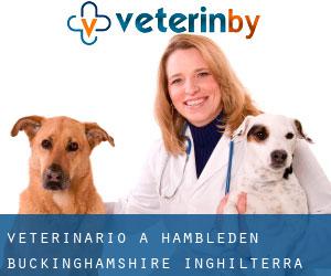 veterinario a Hambleden (Buckinghamshire, Inghilterra)