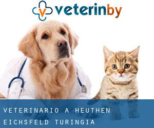 veterinario a Heuthen (Eichsfeld, Turingia)
