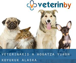 veterinario a Hogatza (Yukon-Koyukuk, Alaska)