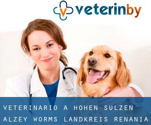veterinario a Hohen-Sülzen (Alzey-Worms Landkreis, Renania-Palatinato)