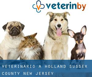veterinario a Holland (Sussex County, New Jersey)