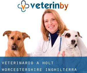 veterinario a Holt (Worcestershire, Inghilterra)