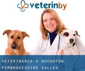 veterinario a Houghton (Pembrokeshire, Galles)