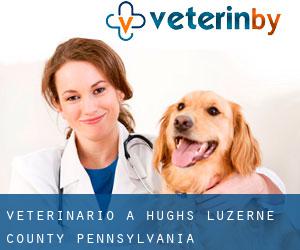 veterinario a Hughs (Luzerne County, Pennsylvania)