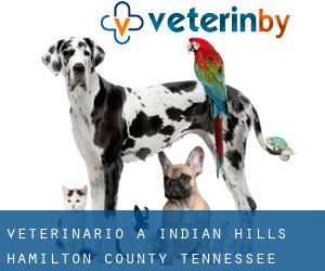 veterinario a Indian Hills (Hamilton County, Tennessee)