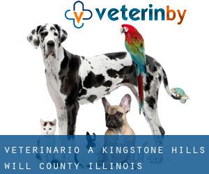 veterinario a Kingstone Hills (Will County, Illinois)