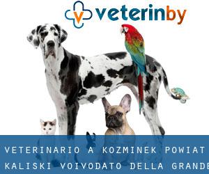 veterinario a Koźminek (Powiat kaliski, Voivodato della Grande Polonia)
