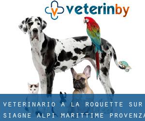 veterinario a La Roquette-sur-Siagne (Alpi Marittime, Provenza-Alpi-Costa Azzurra)