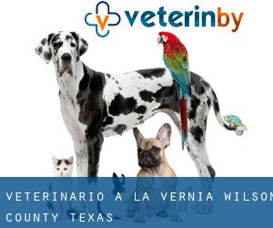 veterinario a La Vernia (Wilson County, Texas)
