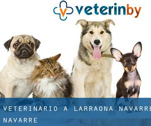 veterinario a Larraona (Navarre, Navarre)