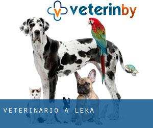 veterinario a Leka