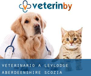 veterinario a Leylodge (Aberdeenshire, Scozia)